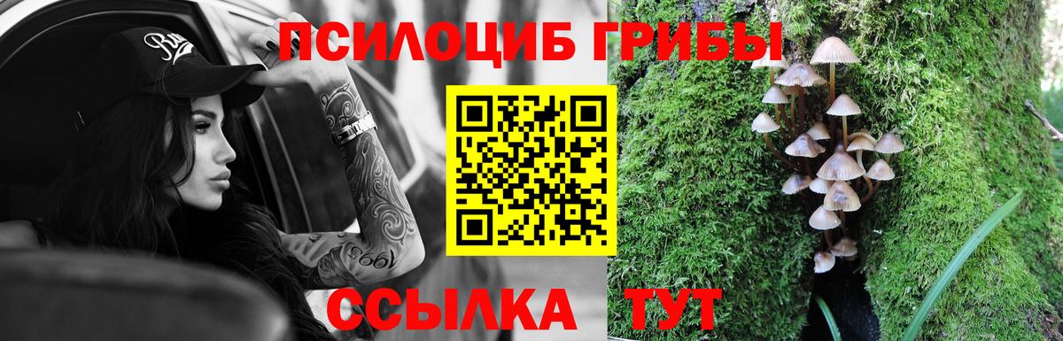 Псилоцибиновые грибы ЛСД  Галлюциногенные грибы Cubensis  Сатка  Вход с VPN 